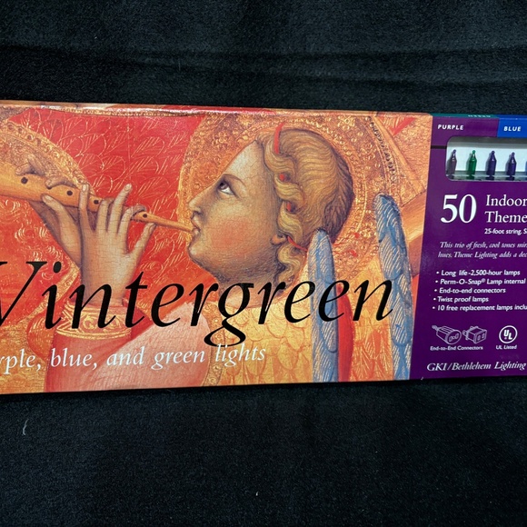 1995 Bethlehem Wintergreen Purple Blue Green 50 Indoor/Outdoor Mini Lights NOS - Picture 1 of 4